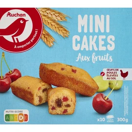 Mini cakes aux fruits sachets individuels (300g)