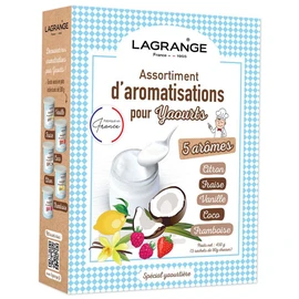 Assortiment de 5 aromatisations yaourts 380500