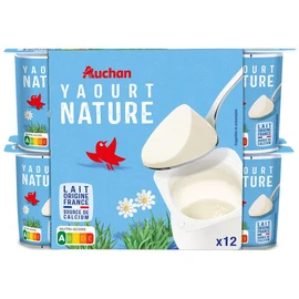 Yaourt nature (12x125g)