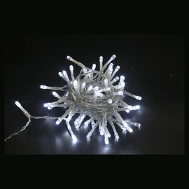 Guirlande Extérieure 180 LED Blanc Froid 14.635 m