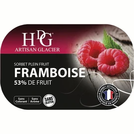 Sorbet plein fruit à la framboise (487.5g)