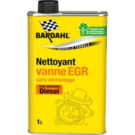 Nettoyeur vapeur EGR curatif 1L