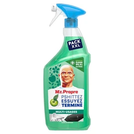 Spray multi-usages à la pomme (800ml)