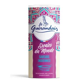 Sel fin de Guérande saveurs indiennes boîte verseuse (220g)