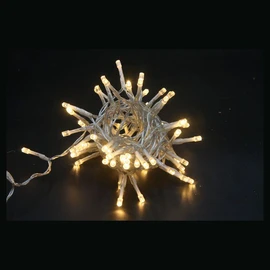 Guirlande Extérieure 80 LED Blanc Chaud 8.135 m