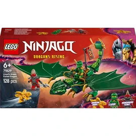 Ninjago 71829 - La dragon vert de la foret de Lloyd