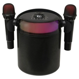 Enceinte portable Q1894 Karaoké et Micro - Noir
