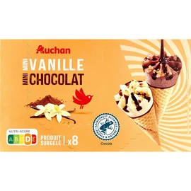 Mini cônes vanille chocolat (344g)