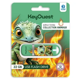 Clé USB 32Go Collection Animaux Dragon