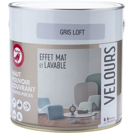 Peinture velour dépolluant loft 2 L