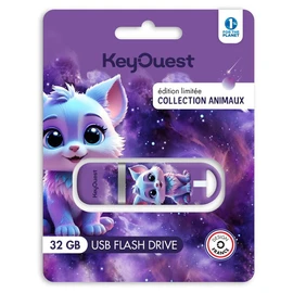 Clé USB 32Go Collection Animaux Renard