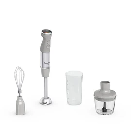 Mixeur plongeant DD673B10 - Gris