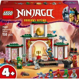Ninjago 71831 - Le temple de Spinjitzu des ninjas