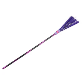 Balai de sorcière