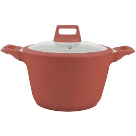 Marmite aluminium 24cm avec couvercle en verre tous feux dont induction
