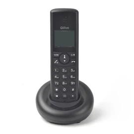 Cordless téléphone digitale Solo Q4902