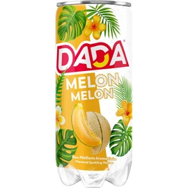Eau gazeuse aromatisée au melon boîte (33cl)