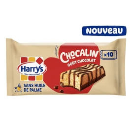Chocalin gâteaux moelleux cacao et chocolat sachets individuels (350g)