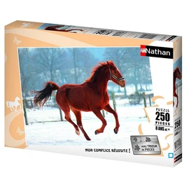 Puzzles 250 pièces Nathan Collection