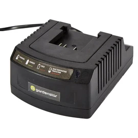Chargeur pour batterie 40V