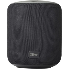 Enceinte portable Q1708 - Noire