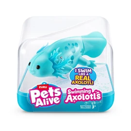 Poisson Nageur Axolotl Pets Alive