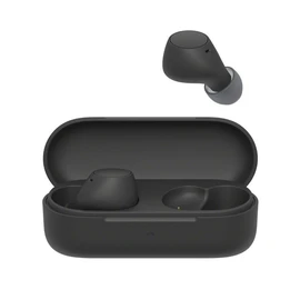 Écouteurs WF C510 - Noir
