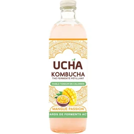 Kombucha Thé fermenté pétillant à la mangue passion bio (75cl)