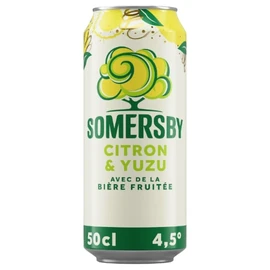 Bière Aromatisée Citron Yuzu 4,5% (50cl)