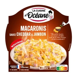 Plat Cuisiné Gratin Macaronis Sauce Cheddar et Jambon (300g)