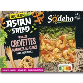 Asian Salad Nouilles, Crudités Crevettes Marinées au Curry (320g)