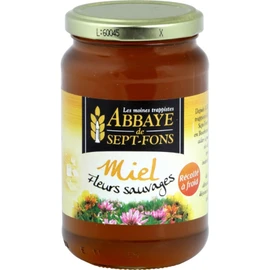 Miel fleurs sauvages (500g)