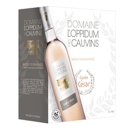 Vin Rosé IGP Méditerranée (3l)