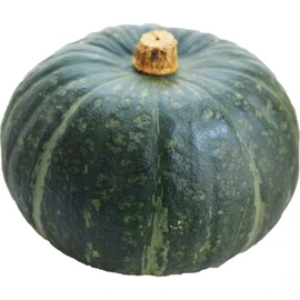 Courge Buttercup Bio