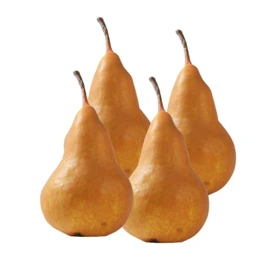 Poire Selena Bio (x4)