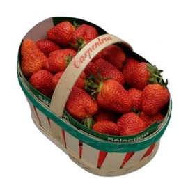 Fraises de Carpentras (500g)