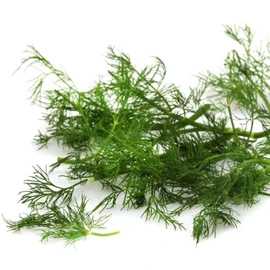 Aneth (20g)