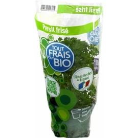 Plant de Persil frisé Bio frais (x1)