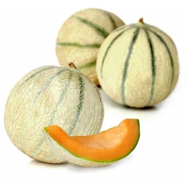 Melon baby