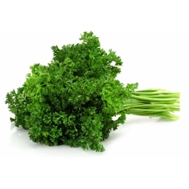 Persil frisé (20g)