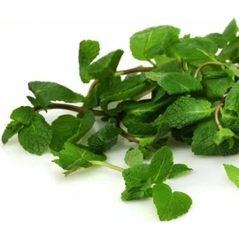 Menthe (20g)