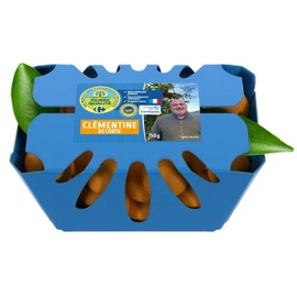 Clémentines Corses (750g)