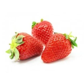 Fraises dream (500g)