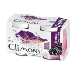Yaourt au Lait de Montagne à la Myrtille (2x125g)