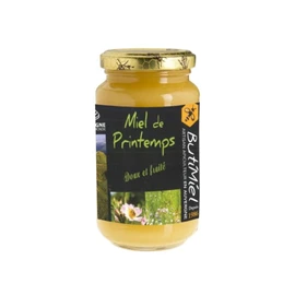 Miel De Fleurs De Printemps (500g)