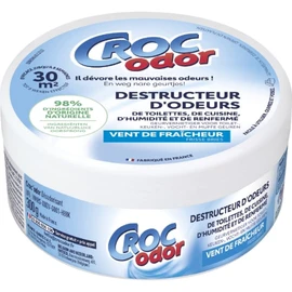 Désodorisant  Destructeur d'Odeurs Vent de Fraîcheur (300g)