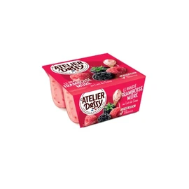 Yaourt Végétal Brassé Framboise et Mûre au Lait de Coco (4x100g)