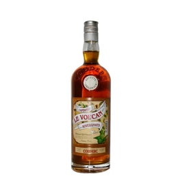 Liqueur Volcan Gentiane Châtaigne 16% (1l)