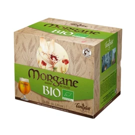 Bière Blonde Bio 5,5% (12x25cl)