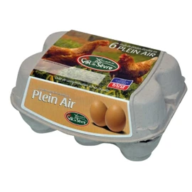 Œufs de poules élevées en plein air